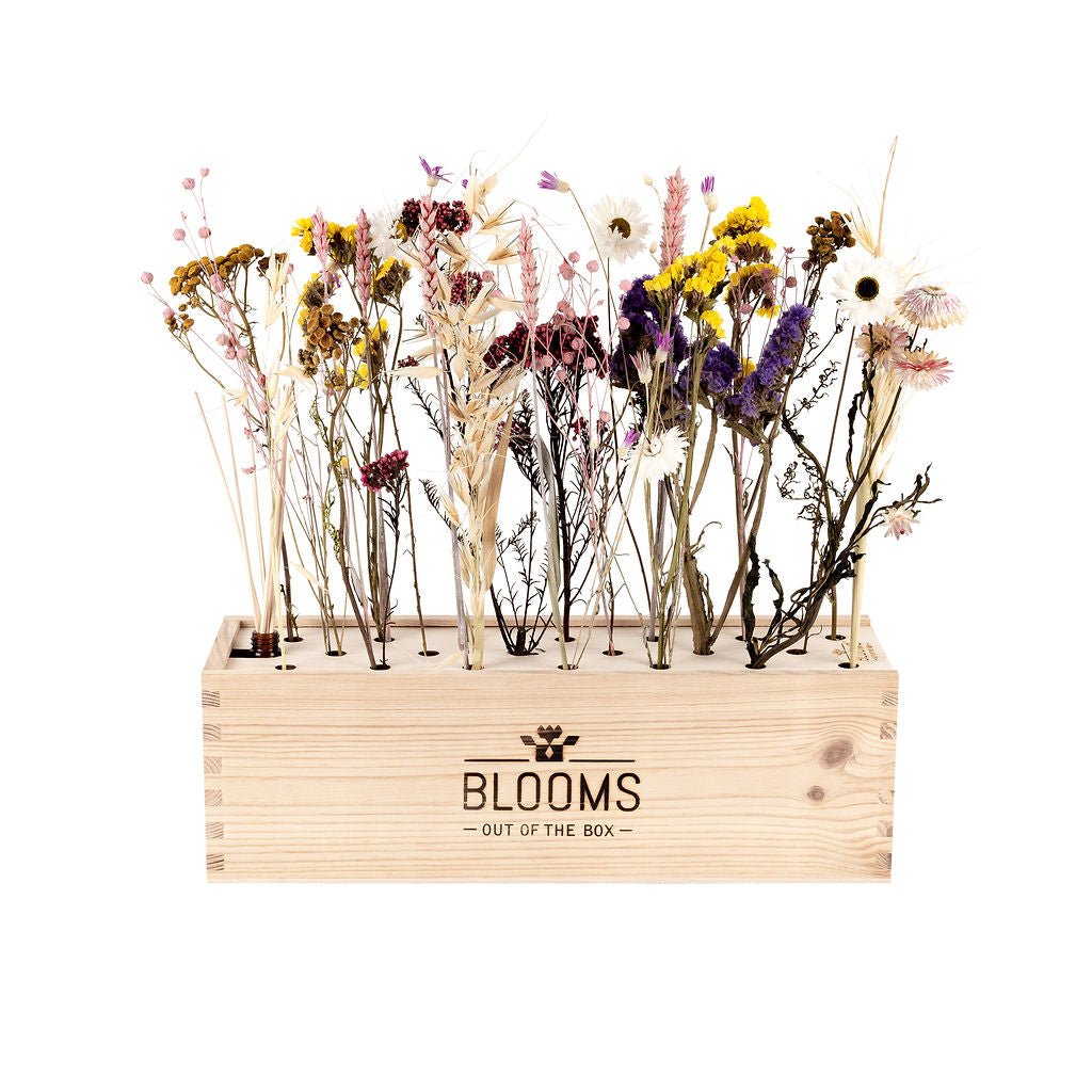 Fragrance out of the Box - L - Bloomsoutofthebox