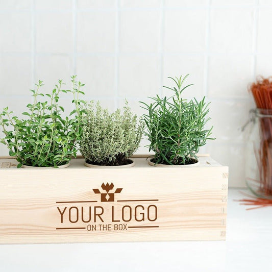 Herbs out of the Box - L - Branded - Blooms out of the Box