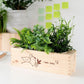 Maak kennis met de BloomsBox! - Blooms out of the Box