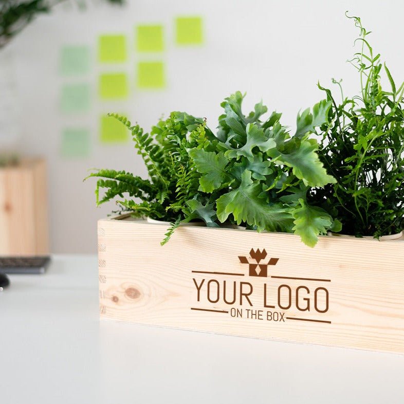 O2 out of the Box - L - Branded per stuk - Blooms out of the Box