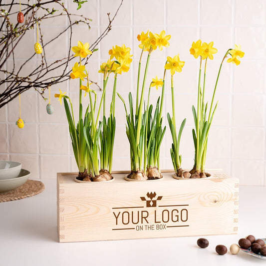 Spring out of the Box - L- Branded per stuk - Blooms out of the Box