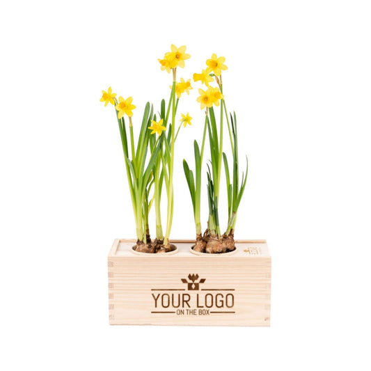 Spring out of the Box - M - Branded per stuk - Blooms out of the Box