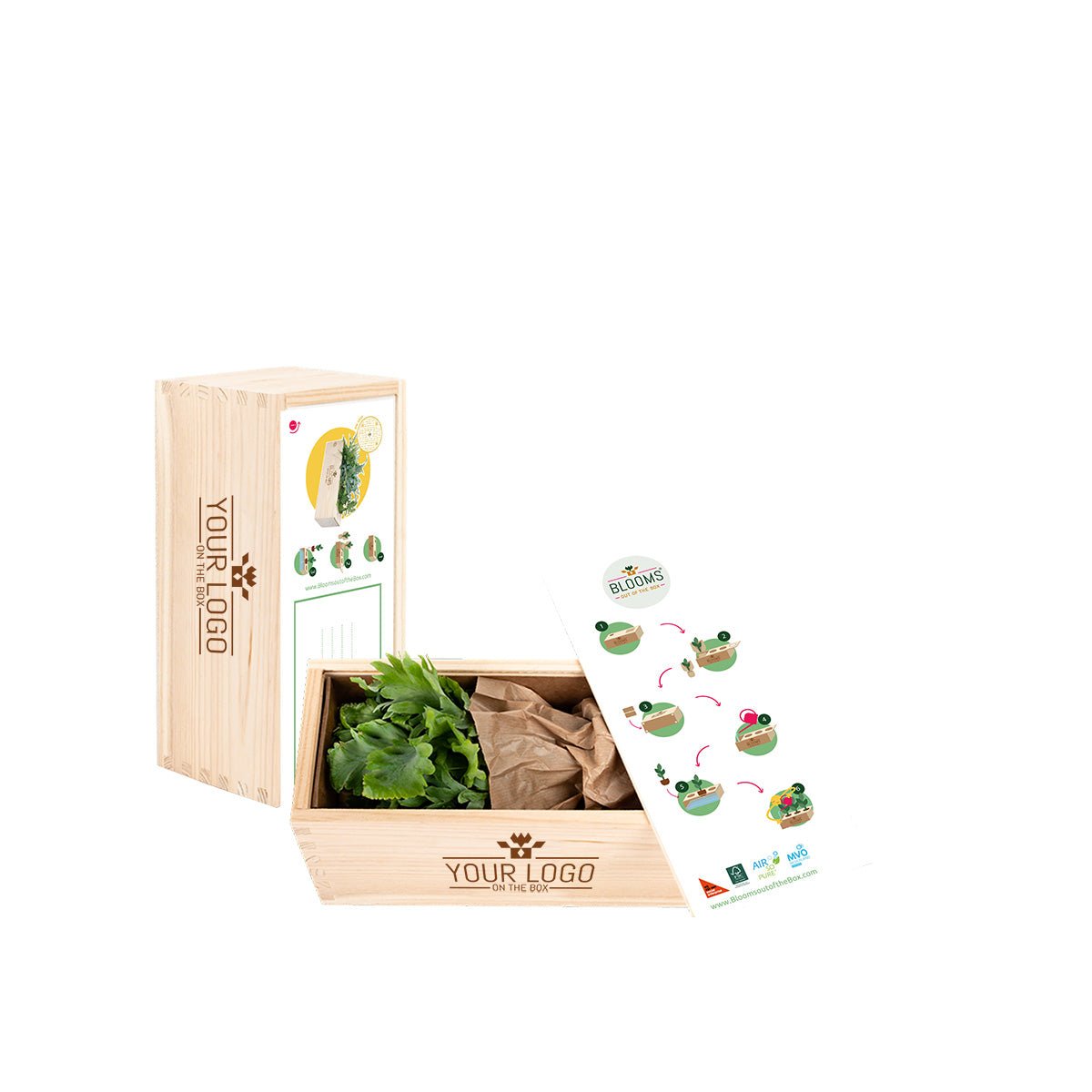 Spring out of the Box - M - Branded - Blooms out of the Box