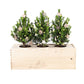 Xmas out of the Box 'Cosiness' - XL - Branded - Bloomsoutofthebox