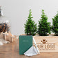 Xmas out of the Box 'Creativity' - L - Branded - Blooms out of the Box