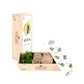 Xmas out of the Box 'Creativity' - L - Branded - Blooms out of the Box
