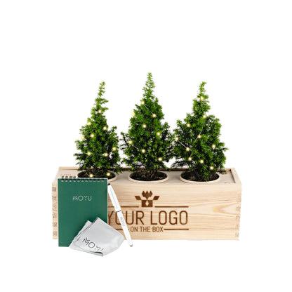 Xmas out of the Box 'Creativity' - L - Branded - Bloomsoutofthebox
