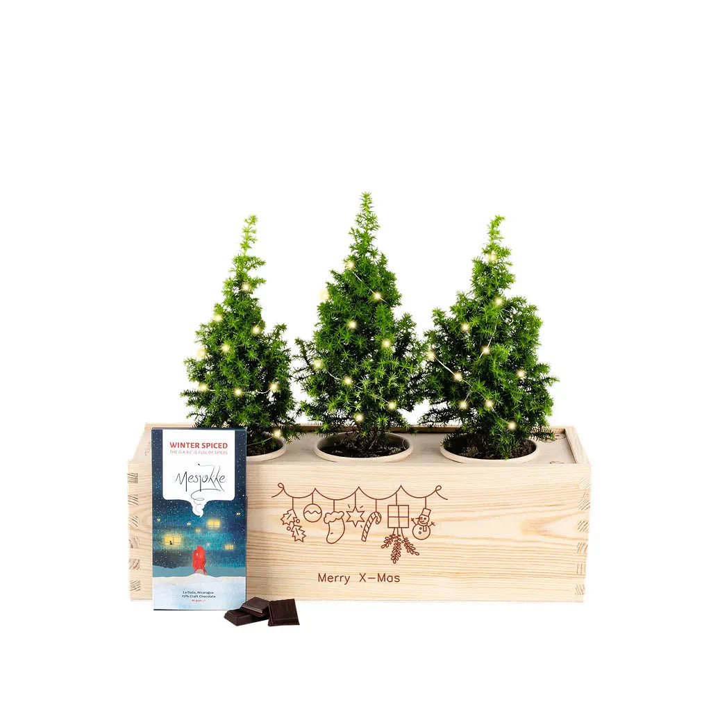 Xmas out of the Box 'Guilty pleasure' - L - Blooms out of the Box