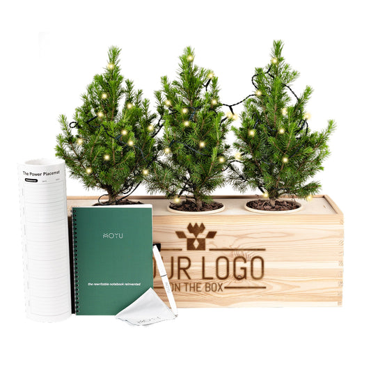 Xmas out of the Box 'Office Inspiration' - XL - Branded - Bloomsoutofthebox